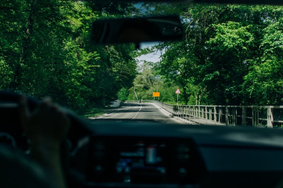 View from car dashboard driving through a lush green forest with road signs ahead.