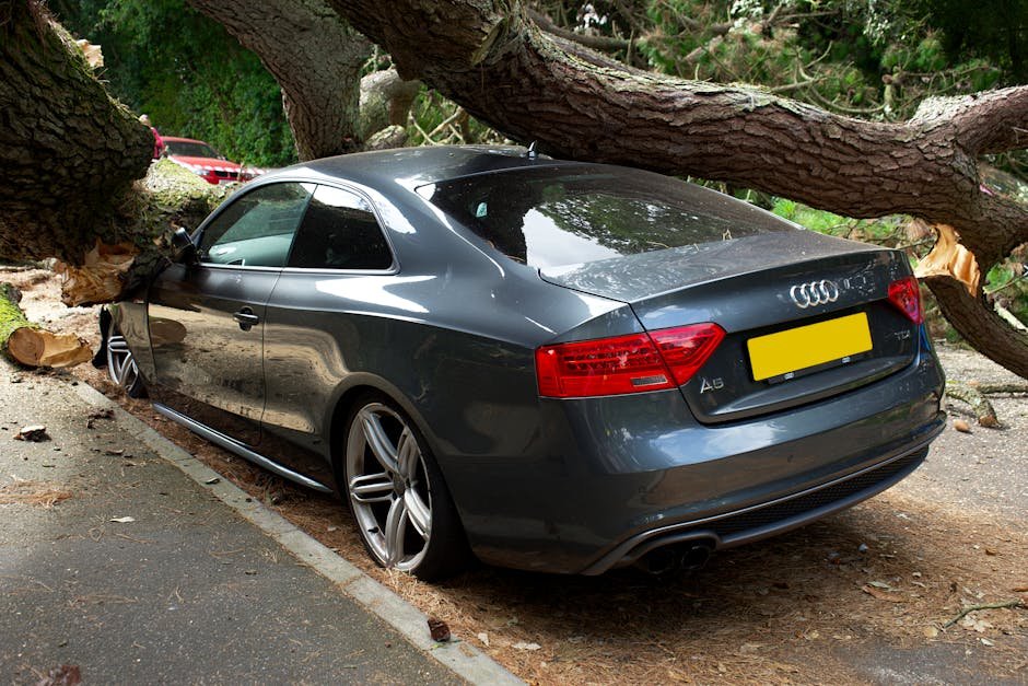 A broken Audi car crushed by a fallen tree in a UK street accident.