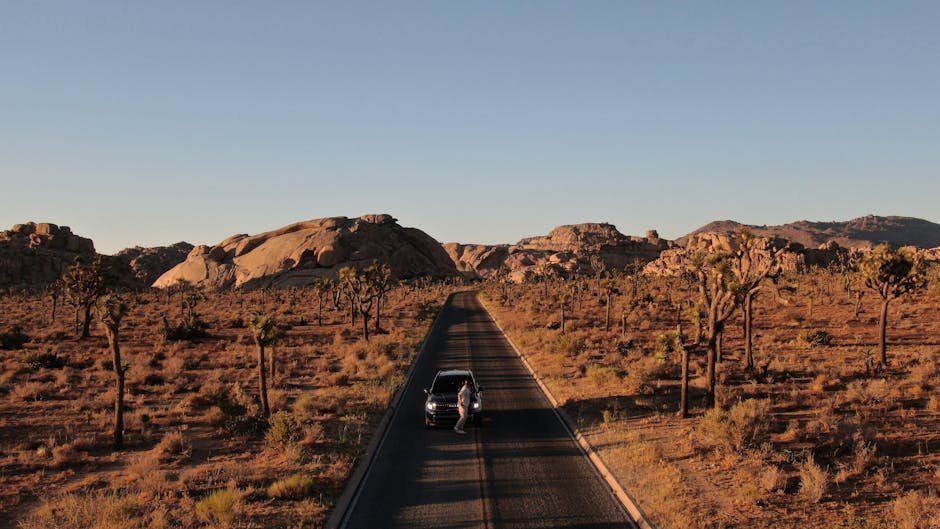 A car travels along a road through Joshua Tree National Park at sunset with dramatic desert scenery.