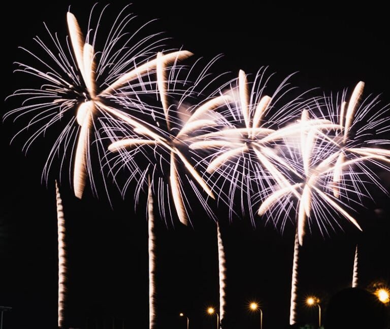 A stunning fireworks display lighting up the night sky with vibrant colors and patterns.