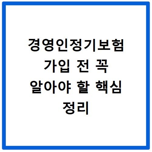 경영인정기보험 가입 전 꼭 알아야 할 핵심 정리
