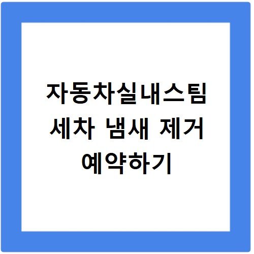 자동차실내스팀 세차 냄새 제거 예약하기