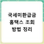 국세미환급금 홈택스 조회 방법 정리