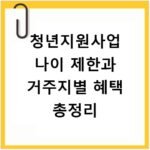 청년지원사업 나이 제한과 거주지별 혜택 총정리