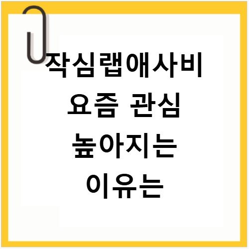 작심랩애사비 요즘 관심 높아지는 이유는